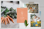Farm love - premade logos set, a Branding & Logo Template by Alisovna (Thumbnail 5 of 12)