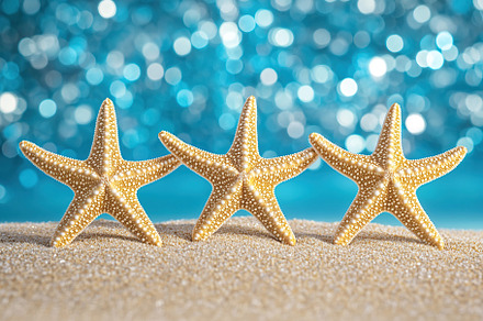 Starfish resting on golden sand at the beach under a bright blue sky, an Animal Photo by AlyaAnd