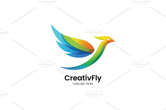 Colorful Bird Logo Design preview 2