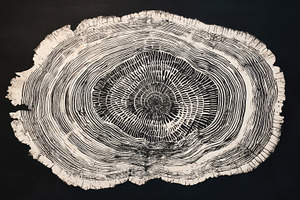 Wood slice shows tree rings, a Photo by Beautiful things