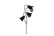Botanical bundle - svg, png, a Decorative Illustration by Watercolor_Vector Graphic (Thumbnail 6 of 26)