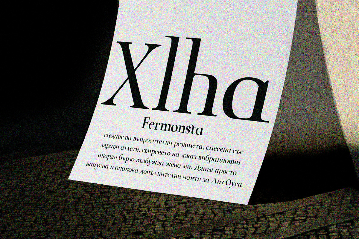 ZT Chablis - Classic serif, a Serif Font by zelow type (Photo 10 of 15)