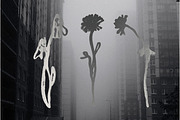 Bloom: 80 Ink Botanical Pack, a Decorative Illustration by Veyla (Thumbnail 13 of 17)