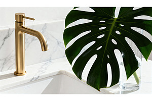 Gold faucet beside a large monstera, a Nature Photo by tilialucida