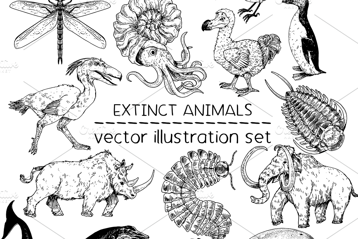 Extinct animals - illustration set, an Animal Illustration by Renée from Studio neetje (Photo 1 of 5)