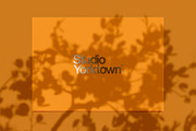 Kage - Botanical Shadow Overlays, a Texture Graphic by Studio Yorktown (Thumbnail 4 of 10)