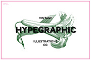 Floral Vintage Vector Illustrations, an Education Illustration by hypegraphic (Thumbnail 4 of 4)