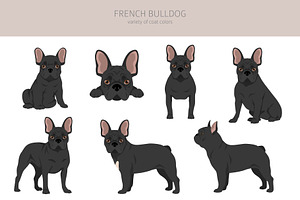 French Bulldog Clipart