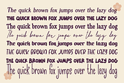FALL FAVES Font Mix Autumn Font Bund, a Handwritten Font by Blush Font Co. (Thumbnail 2 of 3)