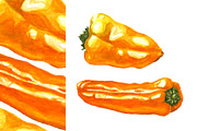 Hand-drawn Watercolor Mini Peppers, a Decorative Illustration by Margo Miller (Thumbnail 13 of 17)