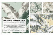 30+ Tropical Botanical Wallpapers, a Decorative Illustration by Virgo Studio (Thumbnail 4 of 6)