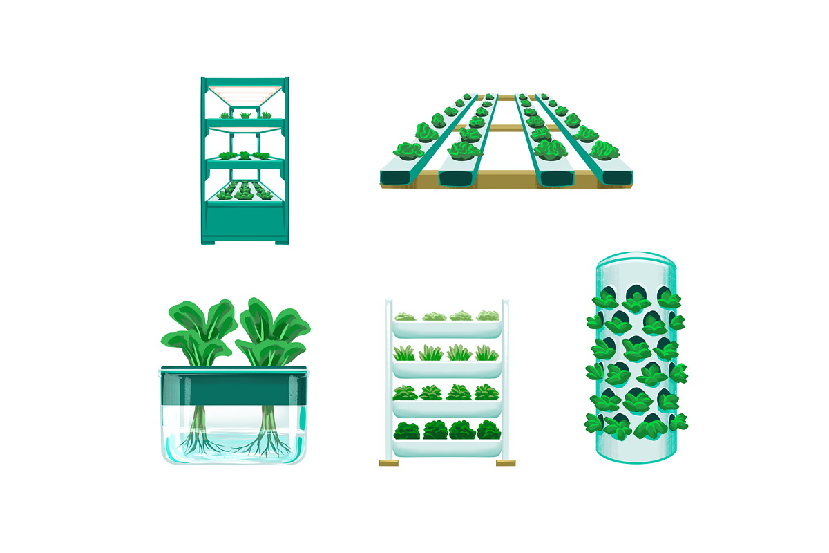 Hydroponic Farming Systems, an Object Graphic by Deemak Daksina (Photo 2 of 3)