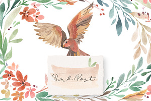 Bird Post - Watercolor Collection