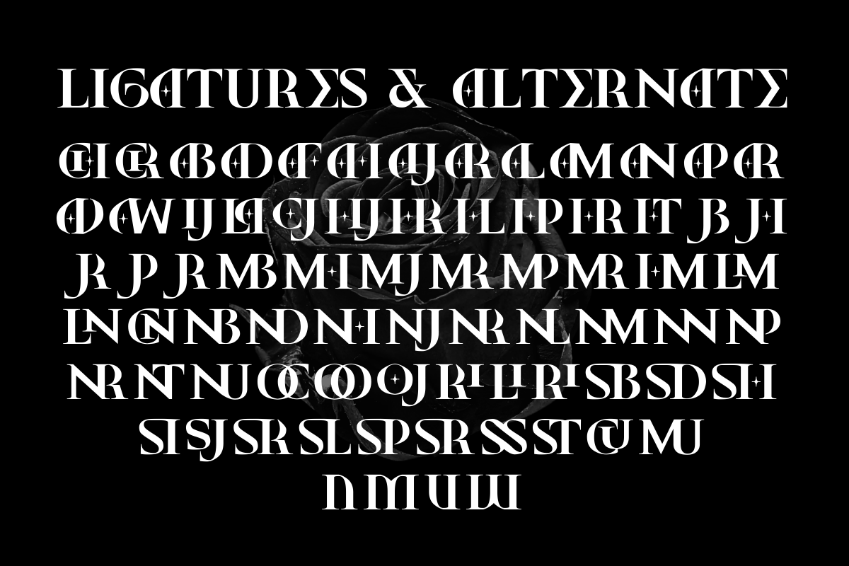Bricheny Rock – Ligature Serif, a Serif Font by Fikryal Studio (Photo 15 of 15)