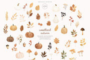 Woodland Autumn, an Animal Illustration by PeDe Designs (Thumbnail 4 of 10)