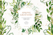 Greenery, foliage & climbing plants, an Illustration by Pamyatka Shop (Thumbnail 1 of 6)