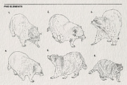 Raccoon sketches PNG, an Animal Illustration by LOKSKIH (Thumbnail 3 of 4)