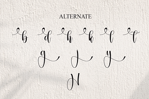 Hybrid Script Font