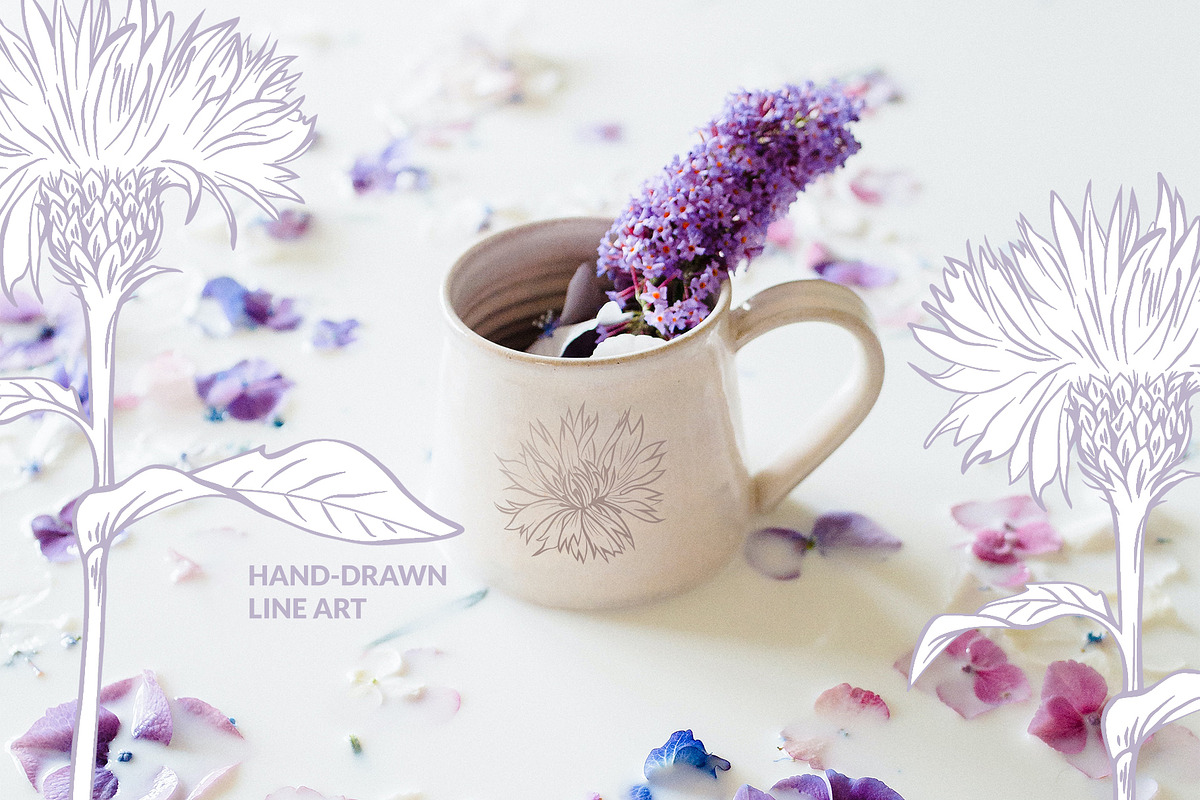 Flowers Line Art. Floral Clipart, a Decorative Illustration by ilonitta (Photo 8 of 11)