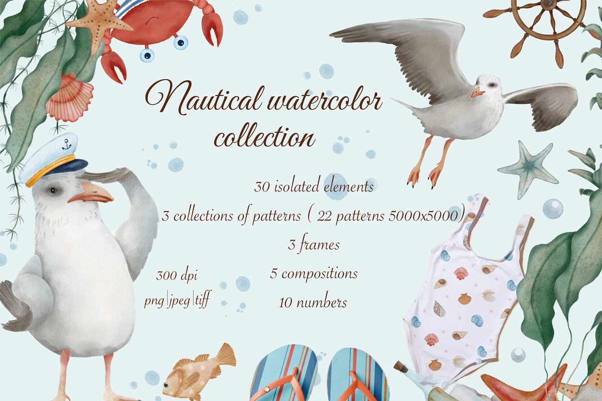 Nautical Watercolor Sea Clipart, an Animal Illustration by ZabolotnaArt (Photo 1 of 13)
