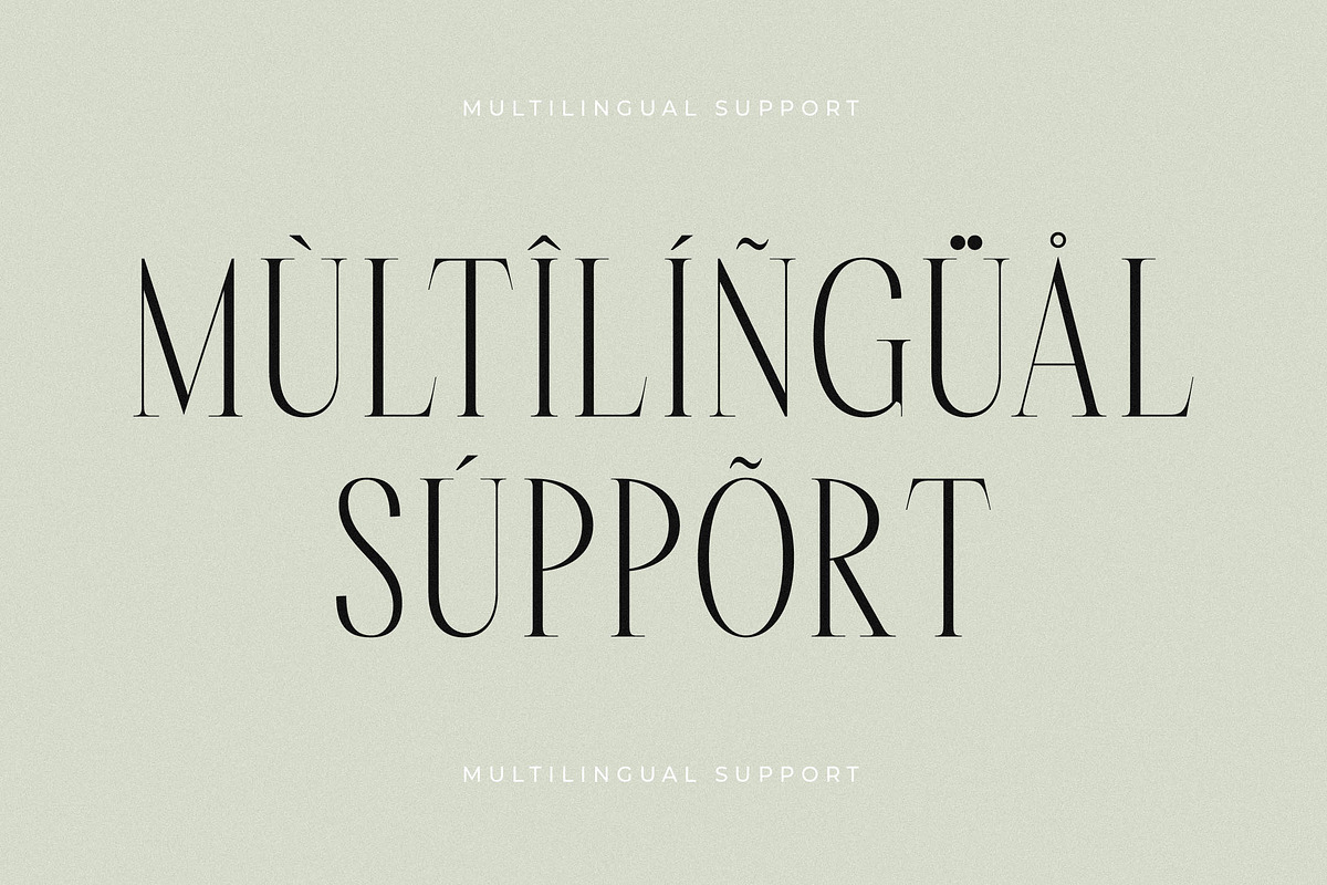 Rastofi Modern Ligature Serif, a Serif Font by Letterena Studios (Photo 12 of 15)