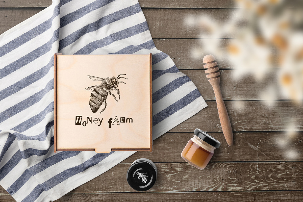 Hand drawn life cycle of a honey bee, an Animal Illustration by handsketched (Photo 6 of 7)