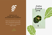 FARMERS MARKET | HAND DRAWN SHAPES, a Food Illustration by Favete Art (Thumbnail 15 of 23)