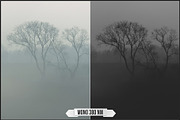Spectrum Black & White profiles LUTs, a Plug-in Add-On by Raztrend (Thumbnail 17 of 31)