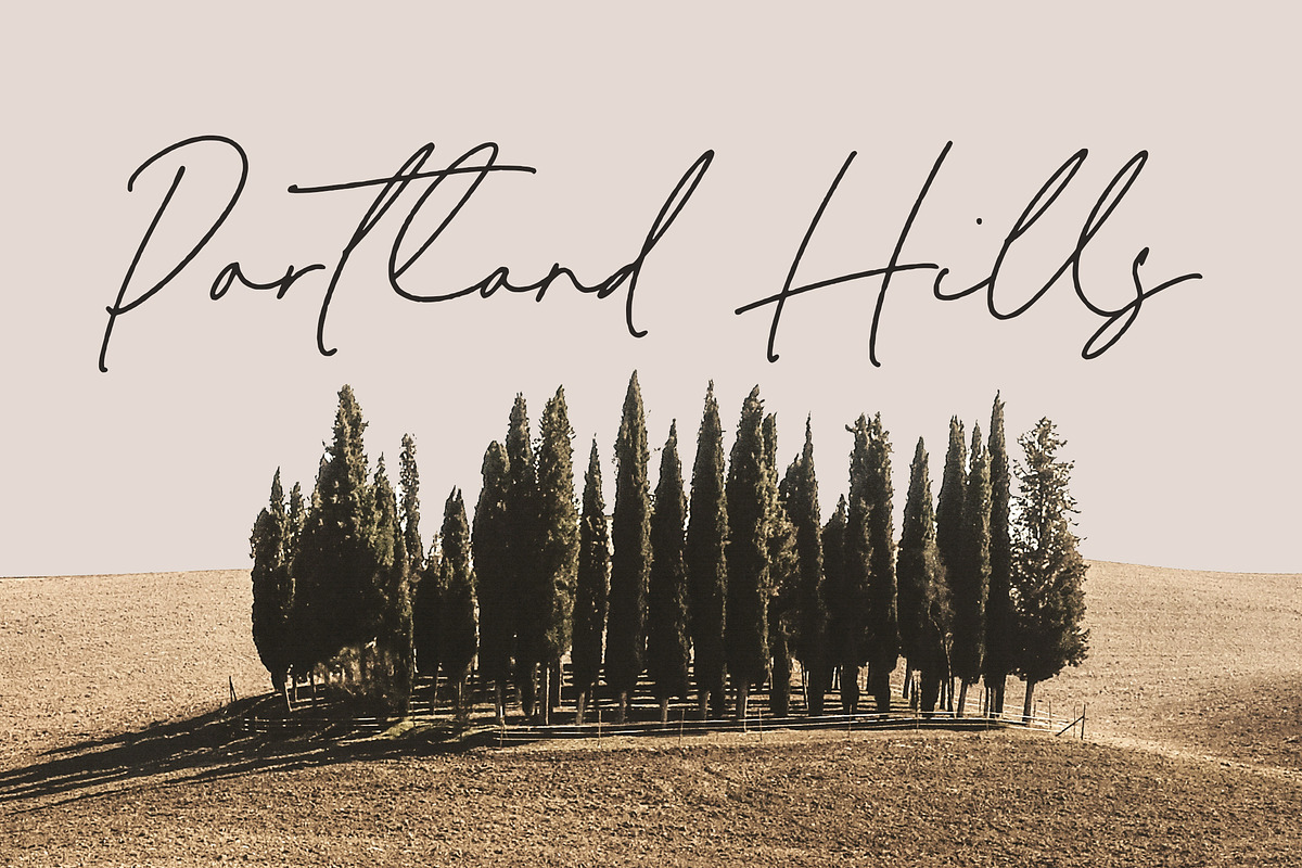Melisma Signature Font, a Script Font by Timurtype (Photo 3 of 7)