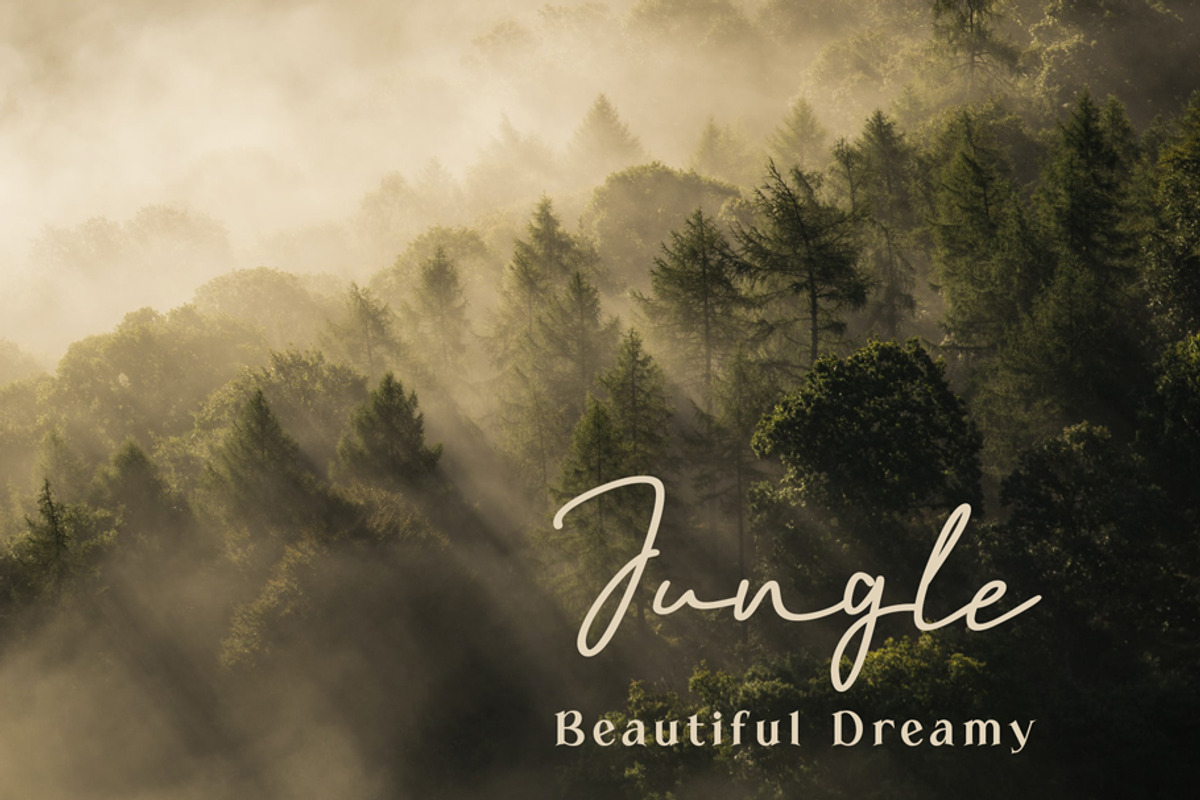 Overlay Belton - Duo Font, a Script Font by Fontcastle (Photo 4 of 6)