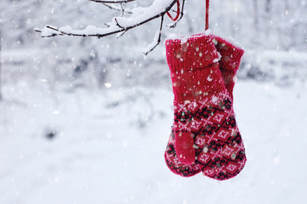 Christmas decoration with red mitten