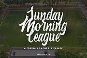 Antheme Script Typeface, a Script Font by edukka (Thumbnail 6 of 10)