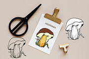 Mushrooms - vector clipart, a Decorative Illustration by Glass Cat Design (Thumbnail 2 of 9)