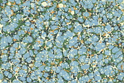 3 Hand Marbled Papers Forest, a Texture Graphic by Marblingdom (Thumbnail 2 of 4)