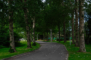 Scenic pathway surrounded by trees and greenery in Reykjavik, Iceland, a Photo by AS photostudio