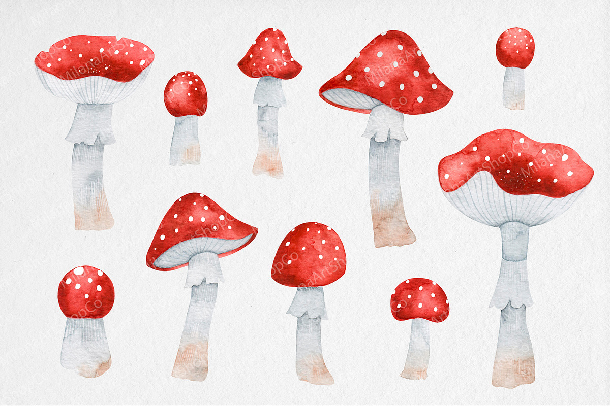 Watercolor Red Mushrooms Clipart, an Illustration by MilanaDesignShop (Photo 2 of 5)