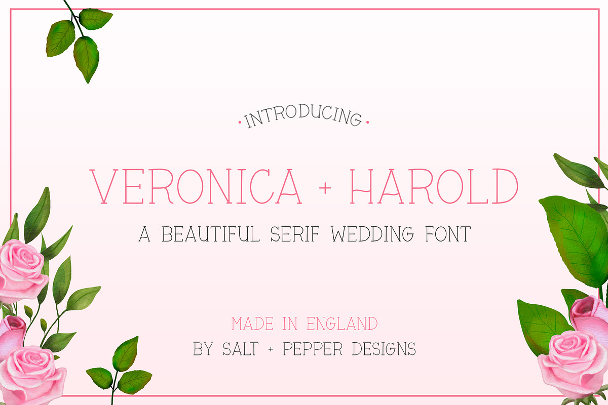 The Girly Font Bundle (ONLY $10), a Font by Salt & Pepper Designs (Photo 7 of 11)