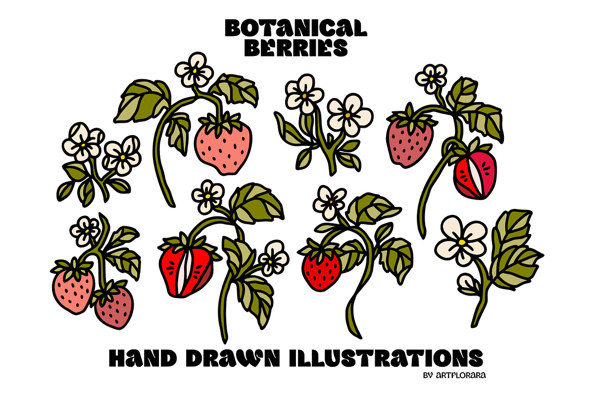 Hand Drawn BOTANICAL BERRIES, an Object Graphic by Artflorara (Photo 4 of 9)