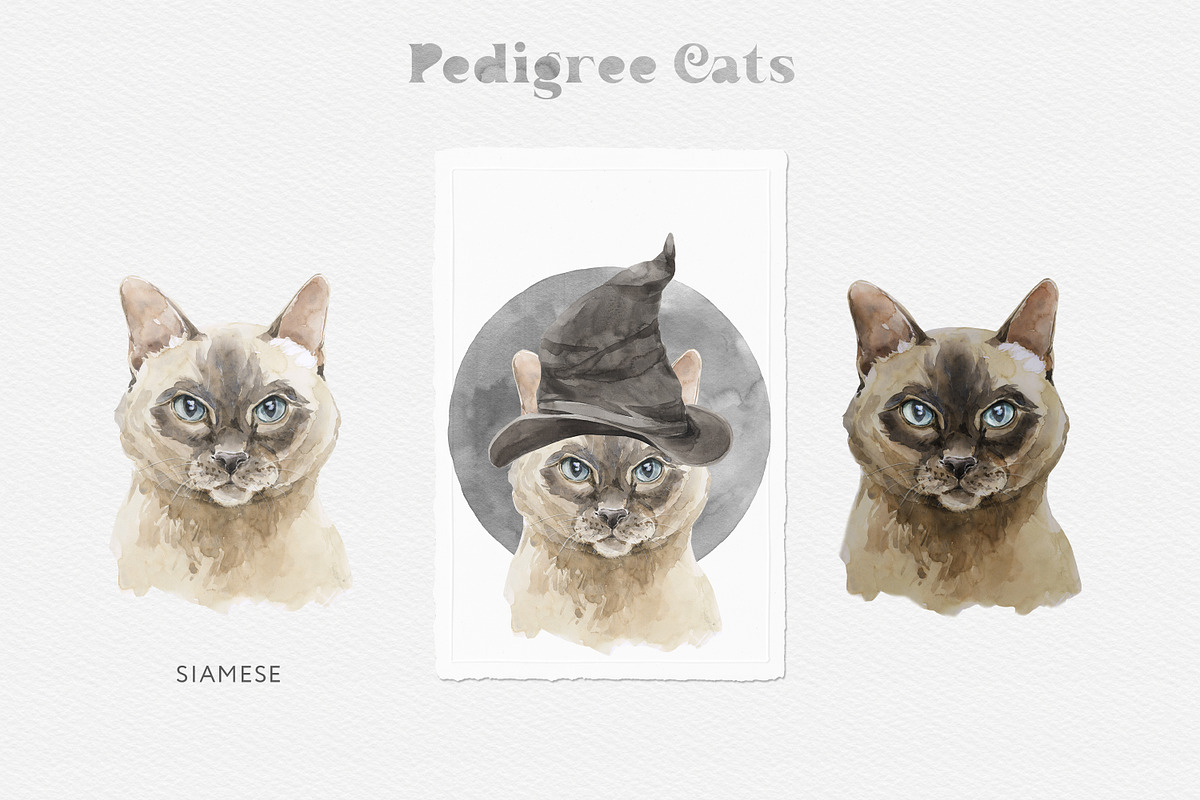 Feline Nature. Cat Portrait Creator, an Illustration by Cat In Colour (Photo 11 of 14)