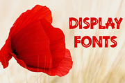 Strong – Bold Display Font, a Serif Font by Bercreative (Thumbnail 2 of 5)