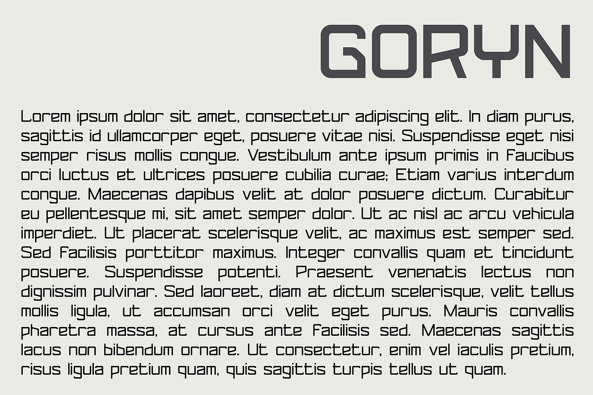 Goryn font family, a Sans Serif Font by vlad.berla (Photo 6 of 7)
