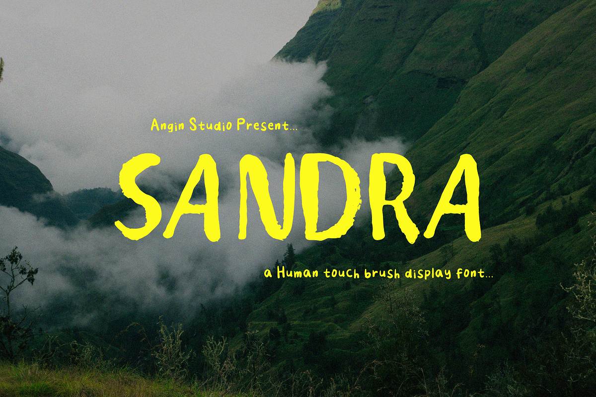 Sandra - Dry Brush Font, a Sans Serif Font by Angin Studio (Photo 1 of 7)