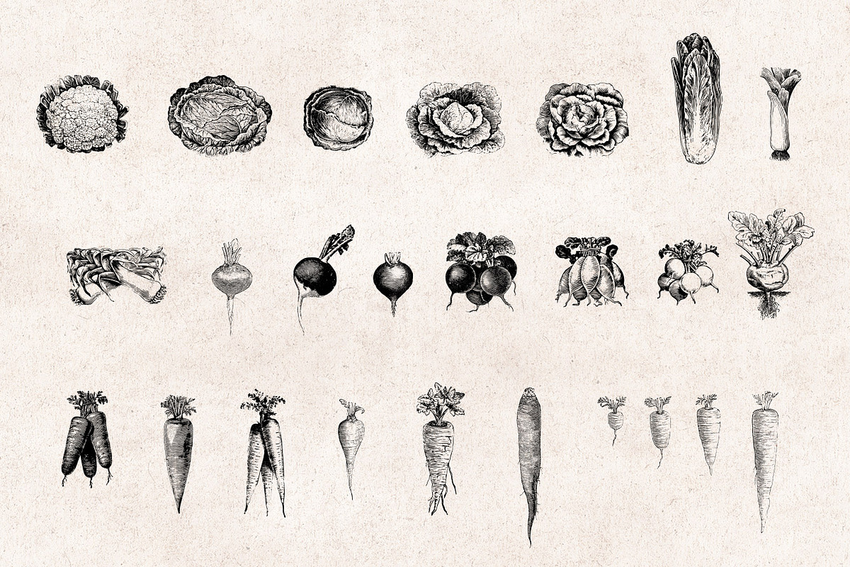 Vegetables Engravings Set, an Object Graphic by Graphic Goods (Photo 3 of 6)