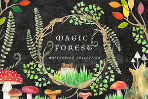 Magic Forest. Watercolor Collection.