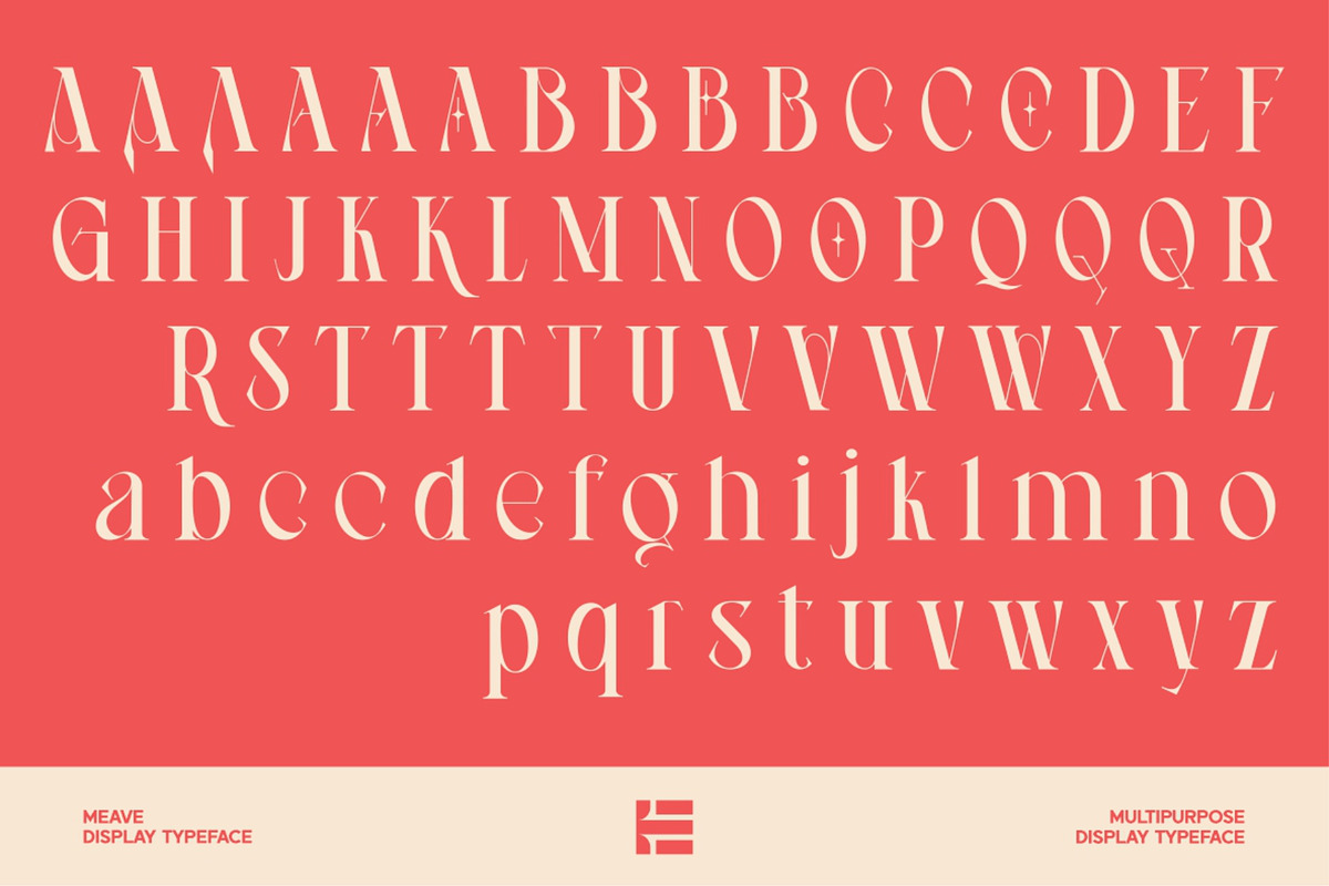 Meave, a Serif Font by Eotype Studio (Photo 9 of 12)