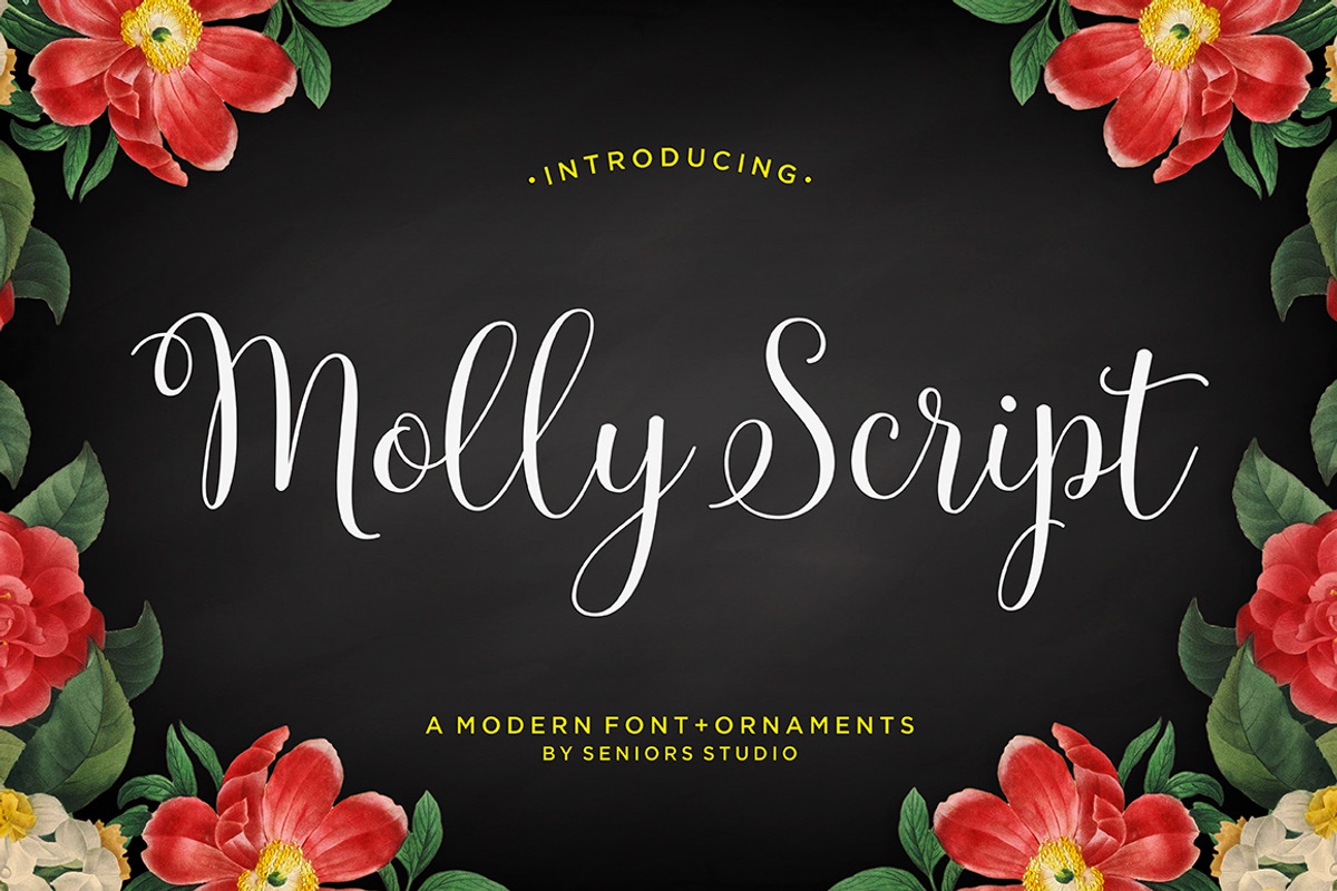 Font Collection | 33 Fonts, a Script Font by Seniors (Photo 30 of 66)
