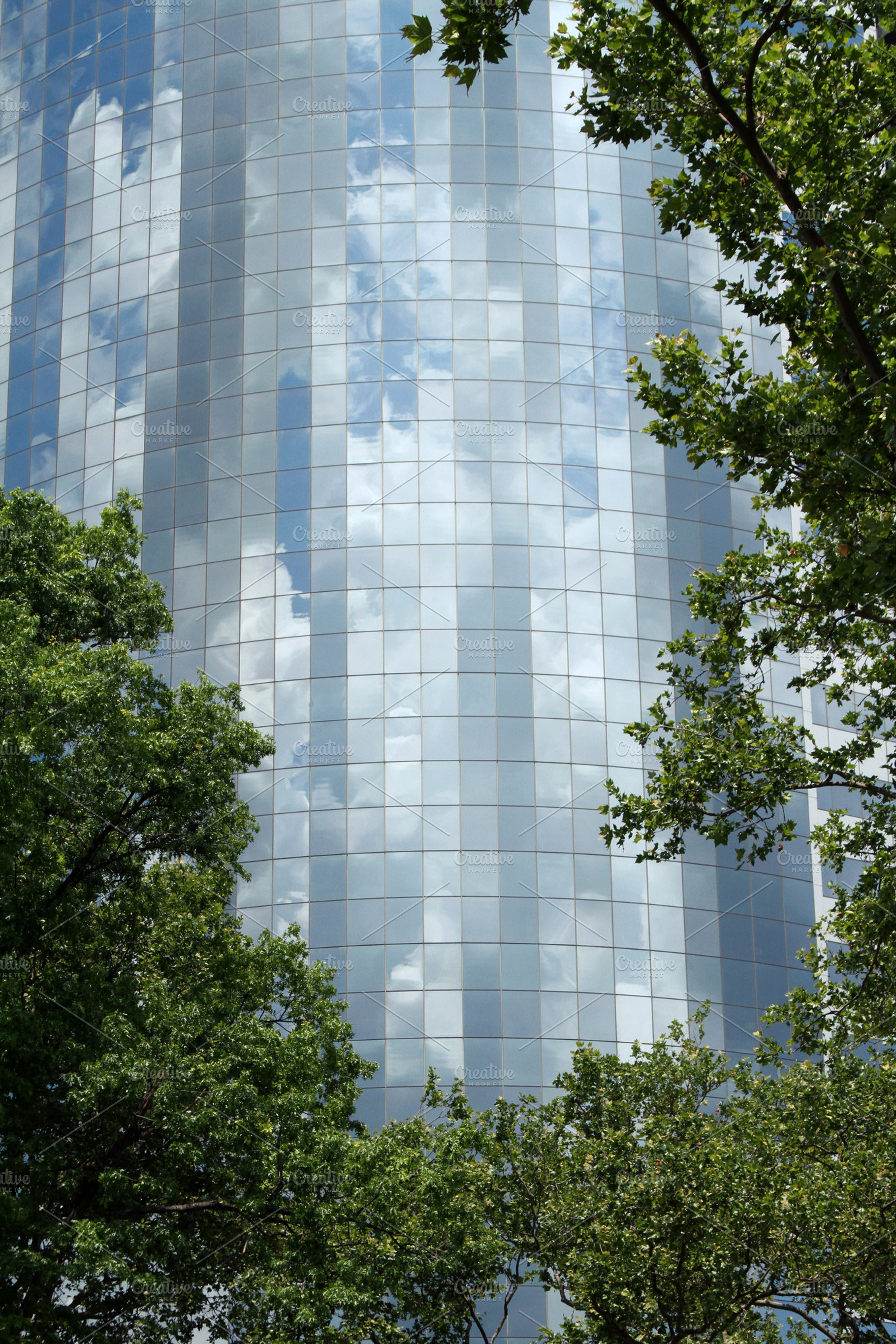 Urban sky featuring sky, city, and tree