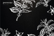 Coffee Illustration, an Illustration by Elysamunster (Thumbnail 6 of 7)