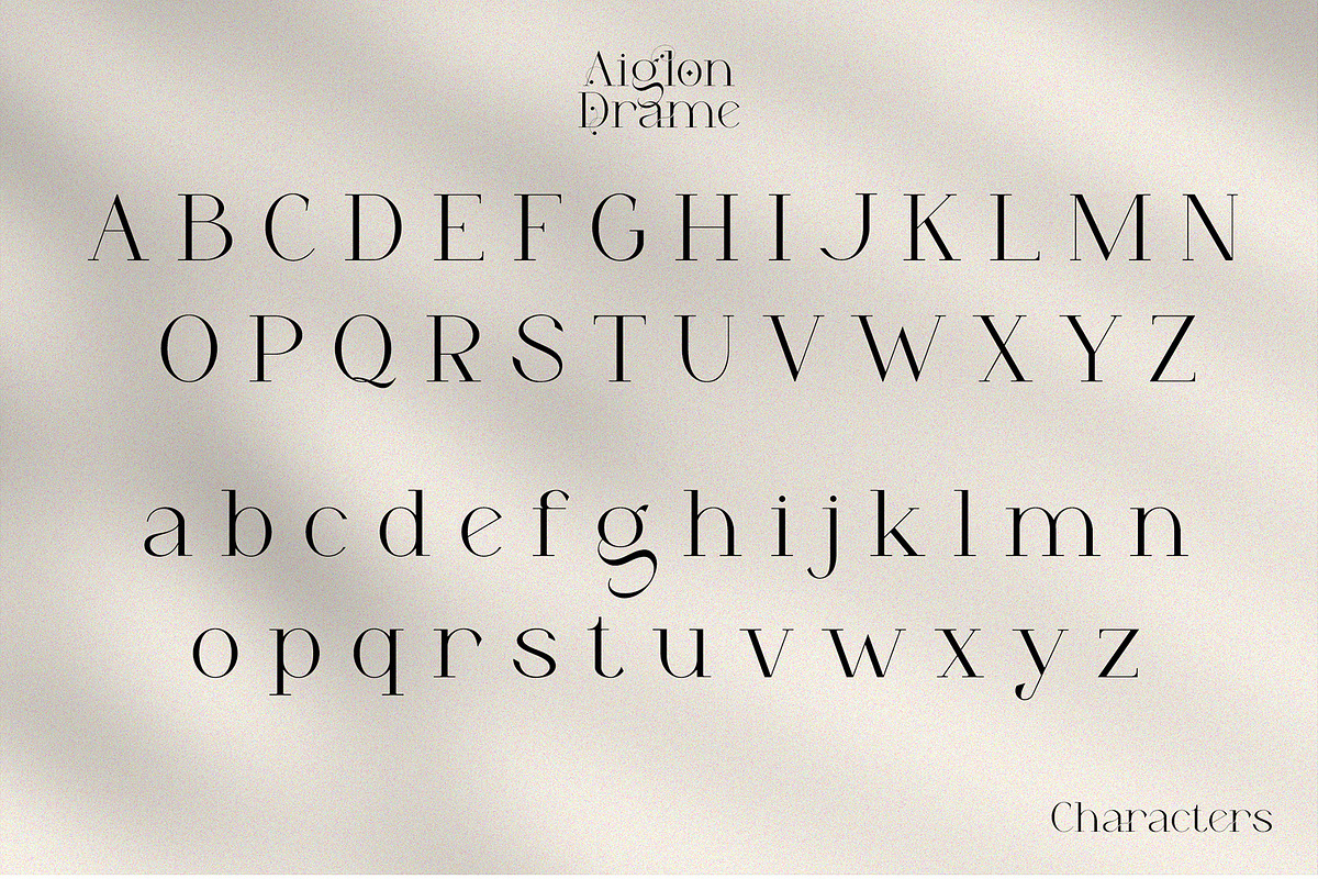 Aiglon Drame - Modern Ligature Serif, a Serif Font by erlosDESIGN (Photo 10 of 13)