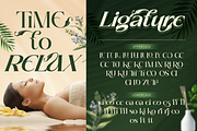 Brideside, a Serif Font by Burntilldead (Thumbnail 8 of 12)